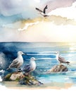 seascape with stones on the shore and seagulls, watercolor illustration